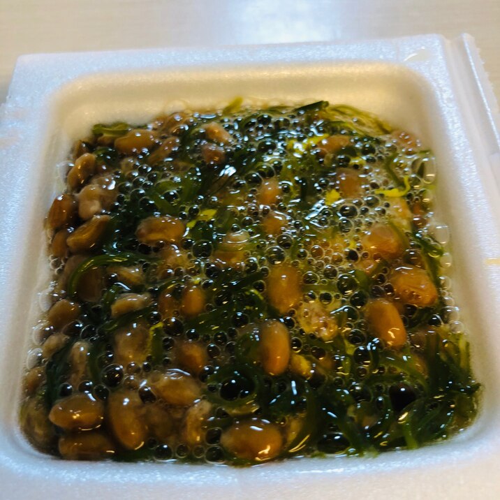 オリーブオイル入り めかぶ納豆 レシピ 作り方 By はせちい 楽天レシピ オリーブオイル入り めかぶ納豆 レシピ 作り方 By はせちい 楽天レシピ